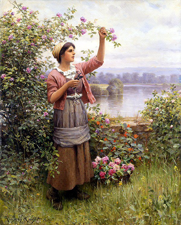 Gathering Roses